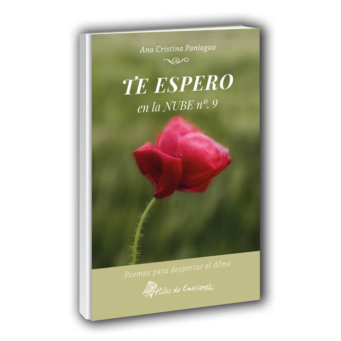 Te espero en la nube nº 9